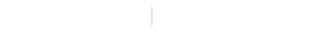 2026年世界杯中文官方网站